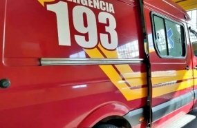 Criança de 2 anos é mordida no rosto por cachorro da família 
