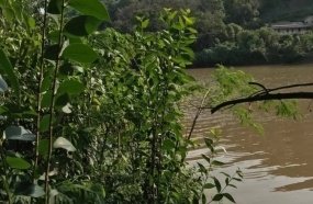 DIC prende segundo suspeito pela morte da mulher encontrada no Rio do Peixe