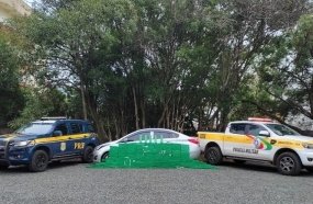 Motorista é preso com 260 kg de maconha após parar o carro para trocar pneu 