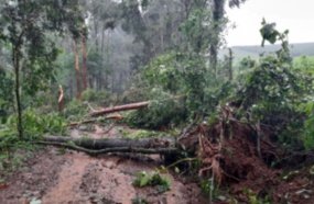 Defesa Civil de Santa Catarina confirma tornado no Oeste