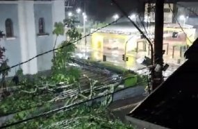 Temporal deixa rastro de árvores caídas na área central de Joaçaba