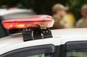 Produtor tem prejuízos após cavalos invadirem plantação de milho