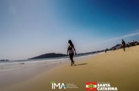 Relatório aponta que 65,82% das praias catarinenses estão próprias para banho