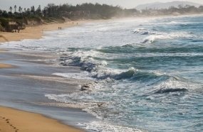 Santa Catarina tem 60,92% das praias próprias para banho 