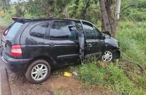 Mulher bate veículo em árvore após brasa do cigarro entrar pela janela 