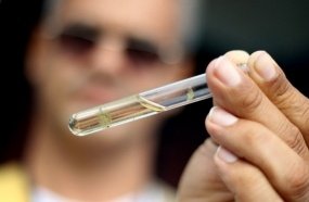 Cidade catarinense é selecionada para usar tecnologia de combate à dengue
