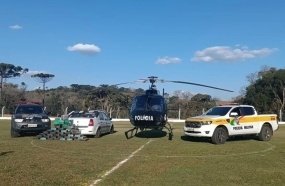 Polícia Civil apreendeu mais de uma tonelada de drogas nas fronteiras de SC