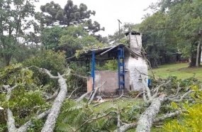 Temporal derruba árvores e danifica quiosques na sede do Clube 10 de Maio