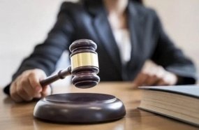 Justiça condena tutora que viajou e deixou cão morrer trancado em apartamento