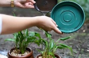 Cuidados contra a dengue devem continuar mesmo nas férias