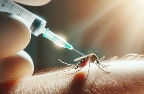 Joaçaba registra caso de dengue e é considerada infestada pelo Aedes aegypti