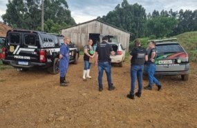 Propriedades interditadas por irregularidades sanitárias em rebanho no município de Ouro