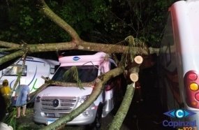 Árvores caem sobre motorhomes no Balneário de Piratuba 