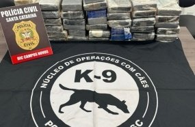 Operação apreende mais de R$ 1 milhão em drogas em Campos Novos