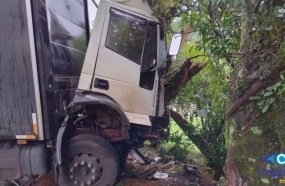 Motorista fica preso às ferragens após caminhão atingir árvores 