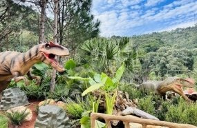 BRDE impulsiona turismo catarinense com investimento de R$ 45 milhões