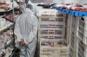 Fiscalização identifica irregularidades e apreende carnes em abatedouro