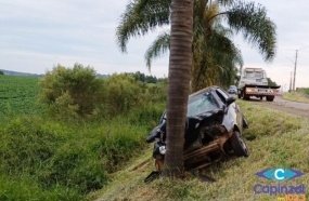 Motorista é socorrido inconsciente após colidir contra palmeira 