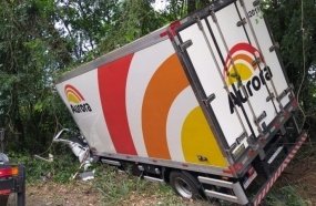 Motorista perde a vida após caminhão colidir contra árvore na BR-282