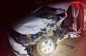 Carro colide em árvore após atropelar boi na SC-150
