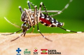 Governo de SC lança painel com dados da dengue