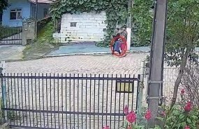 “Morreu de tanto apanhar”, diz delegado sobre corpo de menina encontrado em SC