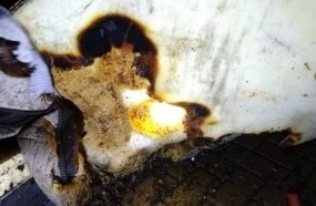 Celular pega fogo durante recarga e provoca incêndio em residência 