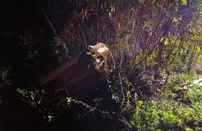 Homem morre após carro despencar em ribanceira na SC-480