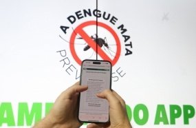 Aplicativo reforça o combate ao mosquito da dengue em SC