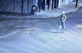 Ladrão rouba celular após ameaçar vítima com um pitbull