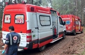 Homem é resgatado de plantação de pinus após ser atingido por tronco 