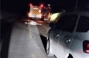 Veículo que transportava pacientes atropela cavalo na SC-350