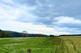 Fazenda em Zortéa, obtida por dívida com a União, será destinada à Reforma Agrária 