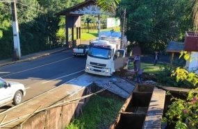 Idoso e cachorro morrem atropelados por caminhão em Treze Tílias 