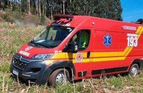 Trabalhador morre após ser atingido na cabeça por árvore 