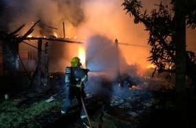 Cachorro é resgatado por Bombeiros durante incêndio em residência 