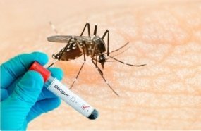 Bebê de 13 dias morre de dengue em Santa Catarina 