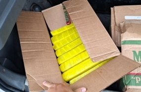 PRF apreende 51 kg de maconha com motorista não habilitado 
