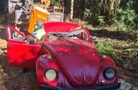 Três pessoas ficam feridas após árvore atingir Fusca 