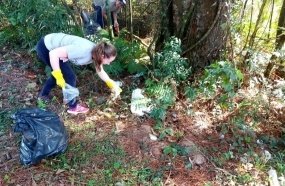Mutirão de limpeza recolhe lixo descartado às margens da BR-282