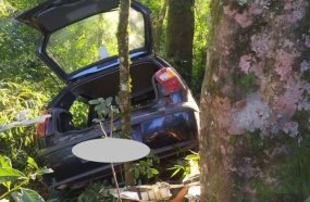 Carro colide contra árvores após sair da pista na BR-282