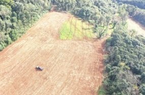 Polícia Militar Ambiental flagra desmatamento ilegal no interior de Jaborá