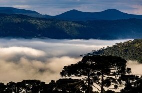 Trade turístico da Serra Catarinense comemora o investimento do Governo do Estado