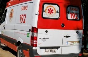 Homem morre após ser atingido por galho durante corte de árvore