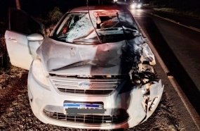 Carro fica destruído após atropelar boi solto em rodovia