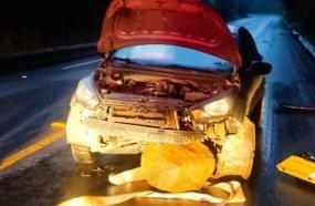 Motorista é surpreendido com deslizamento de rochas na rodovia 