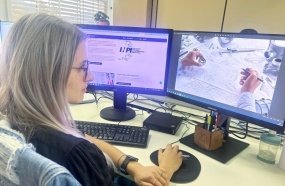 Empresas catarinenses recebem apoio do Estado para a proteção de ideias e produtos