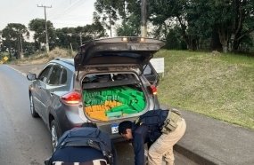 Motorista é flagrado transportando mais de 600 kg de maconha 