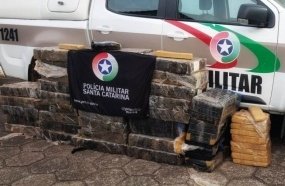 Polícia Militar encontra mais de 500 kg de maconha em matagal 