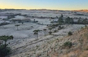 Santa Catarina amanhece novamente com temperaturas negativas 